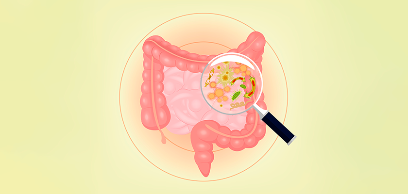 Microbiota: un mundo invisible